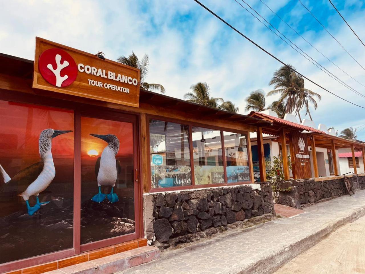 Coral Blanco With High Speed Internet Starlink And Galapagos Tour Operator Bed & Breakfast