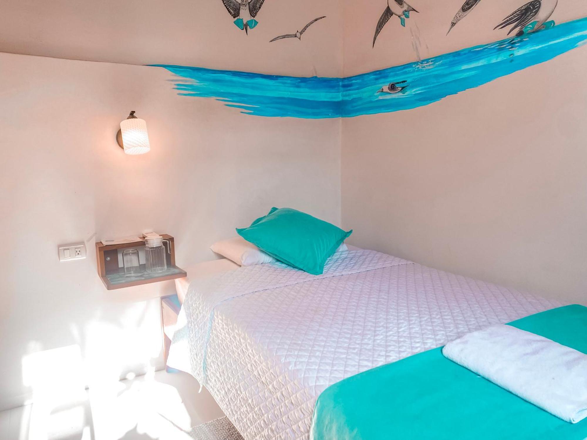 Coral Blanco With High Speed Internet Starlink And Galapagos Tour Operator Puerto Villamil